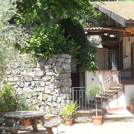 Agriturismo La Casa Del Ghiro Guest House Пимонте Екстериор снимка